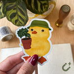 duckling soft magnets for fridge, car, magnetic surfaces
