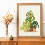 Planty Trio Art Print