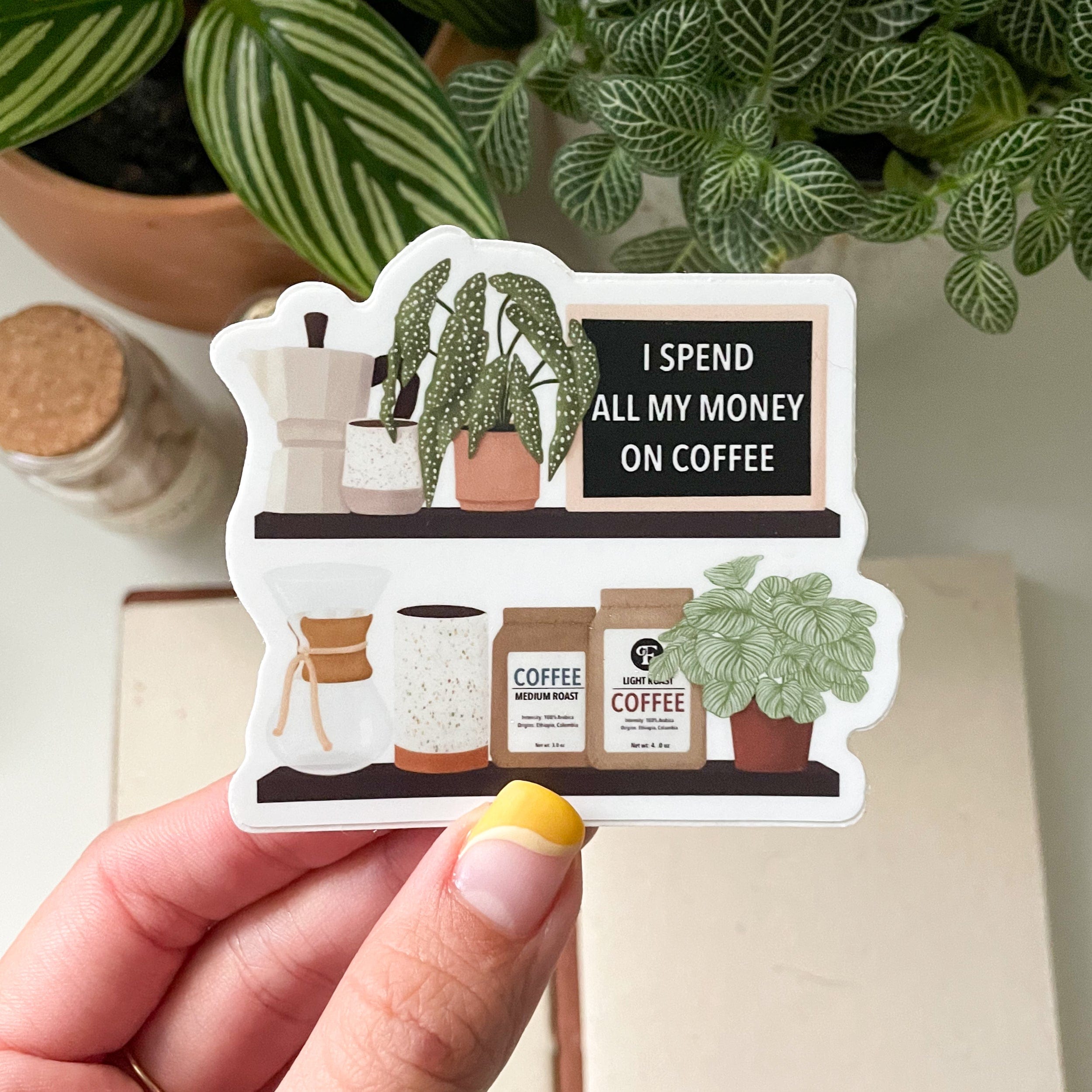 money plant sticker I Spend All My Money on Coffee Sticker