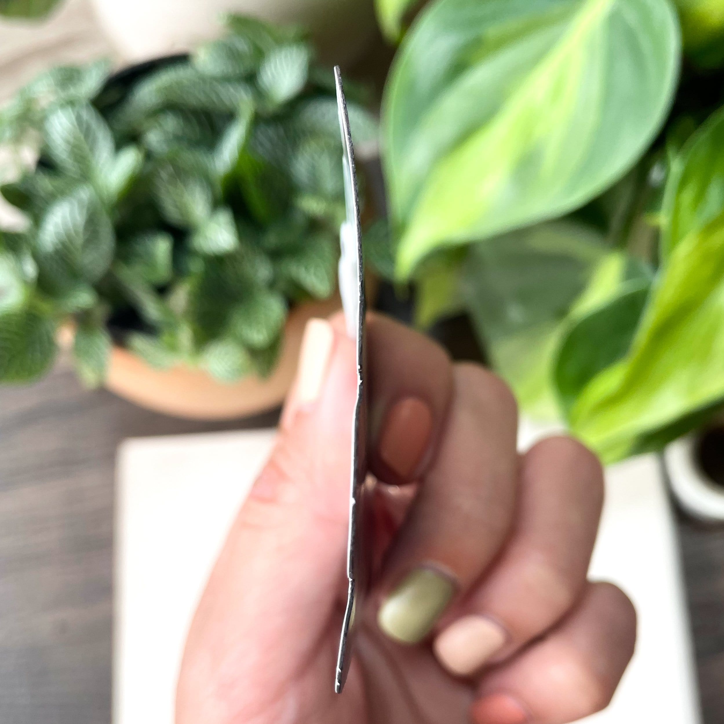 plant magnets side