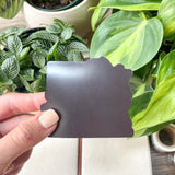 plant coffee magnet back