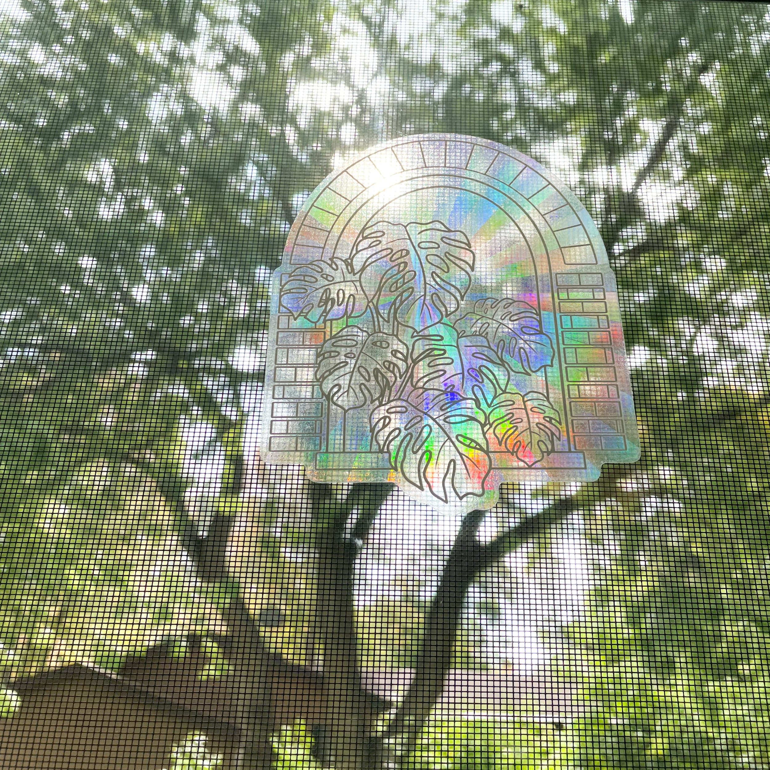 rainbow suncatchers on window