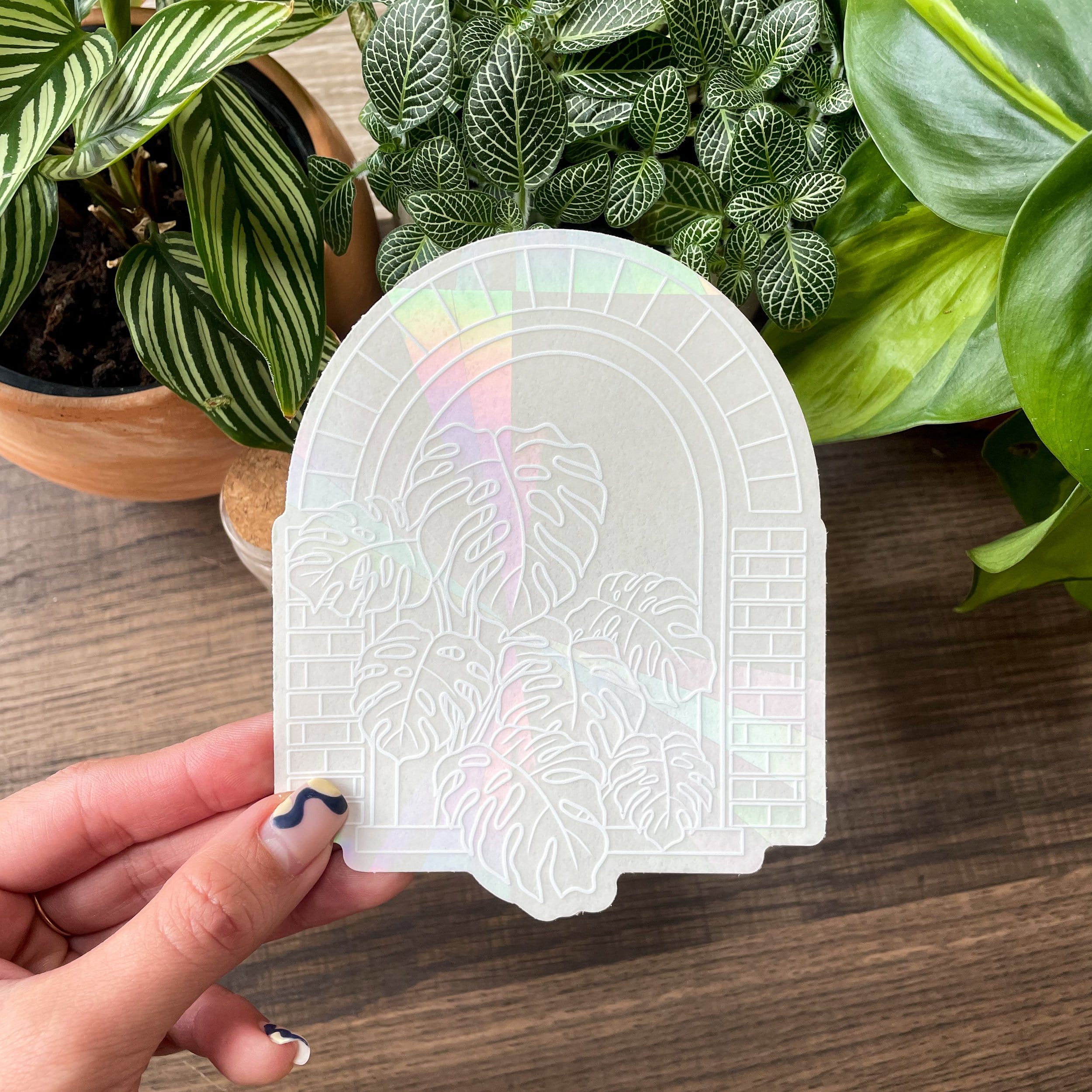 rainbow suncatchers with backing