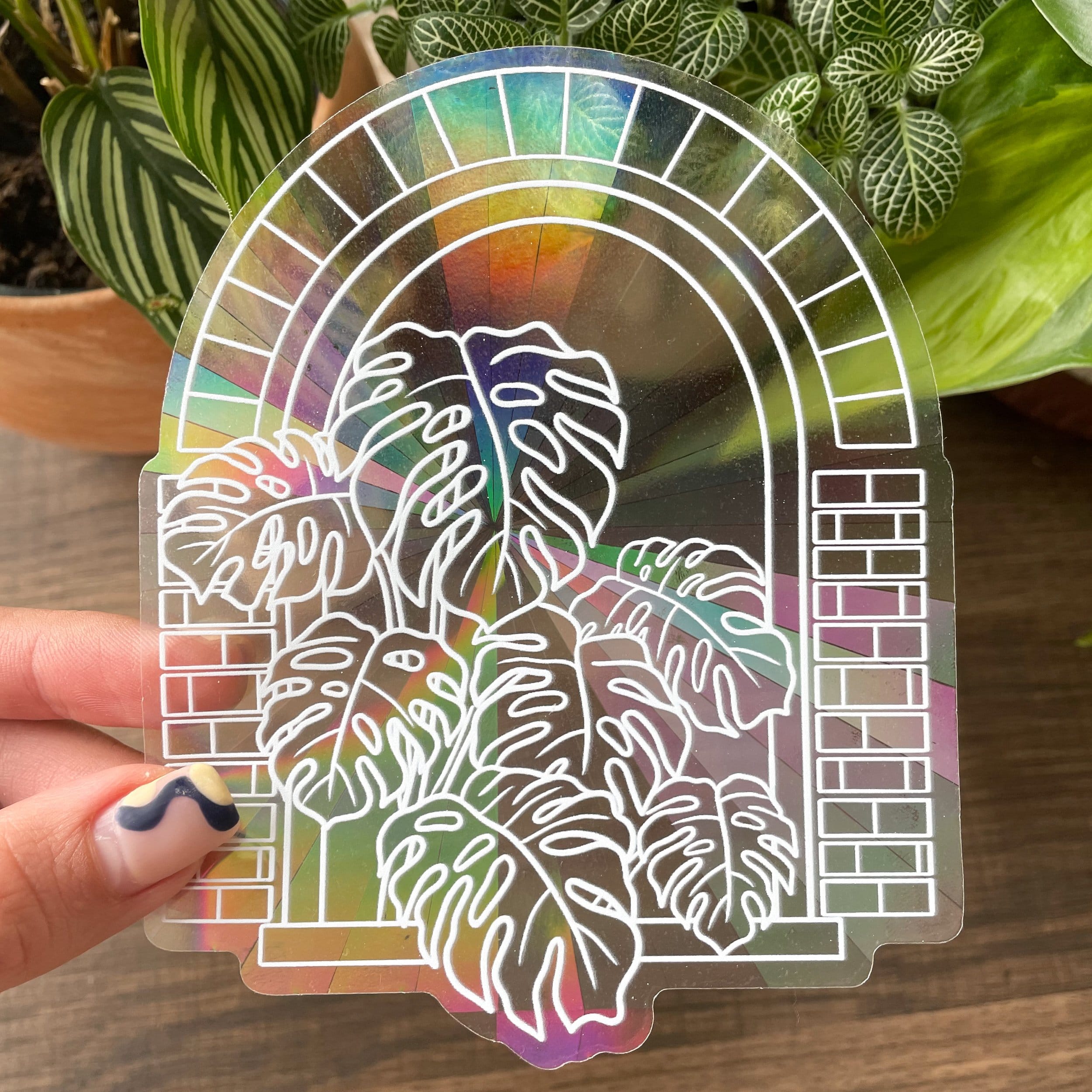 rainbow suncatchers