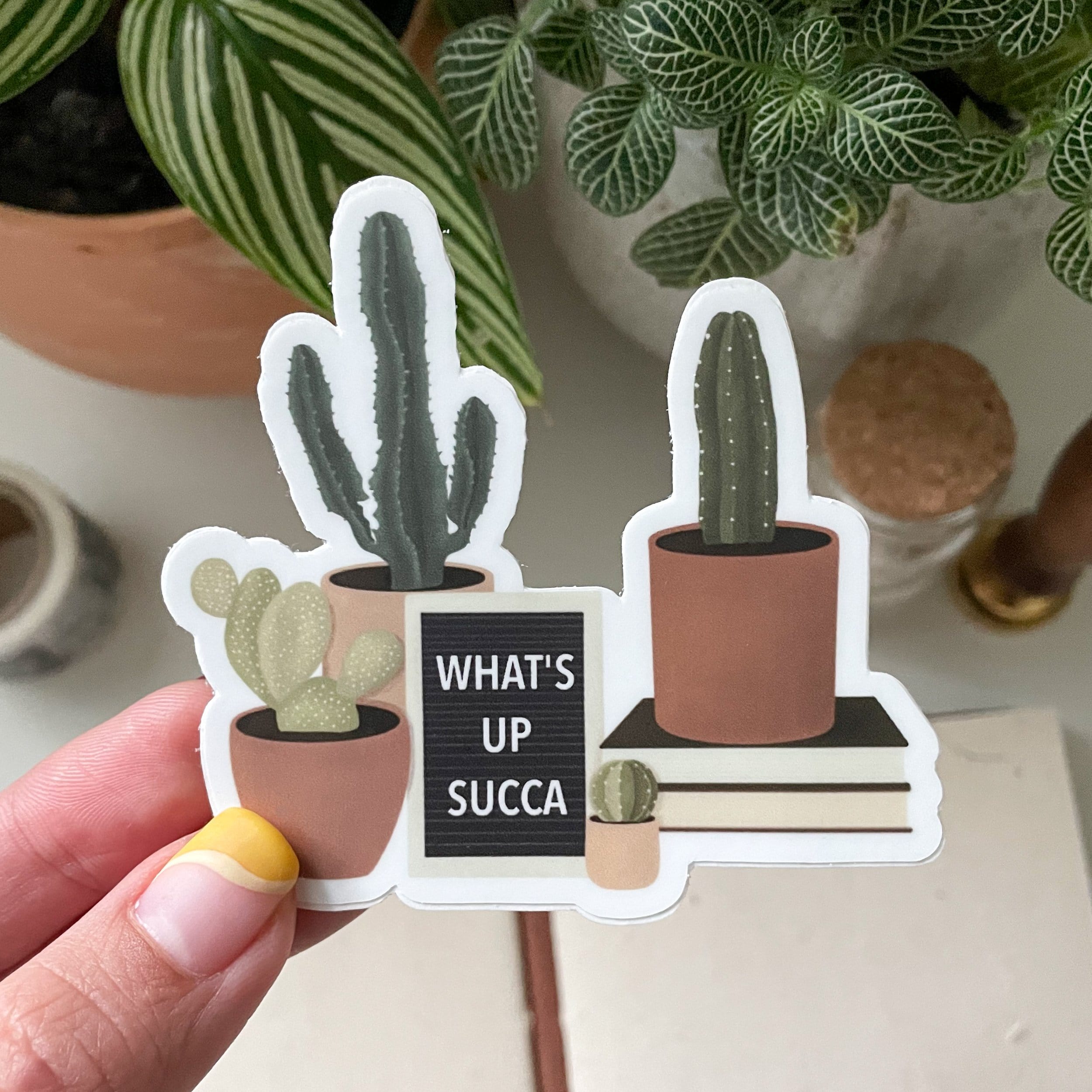 succulent plant stickers What's Up Succa Sticker – LINH T VO