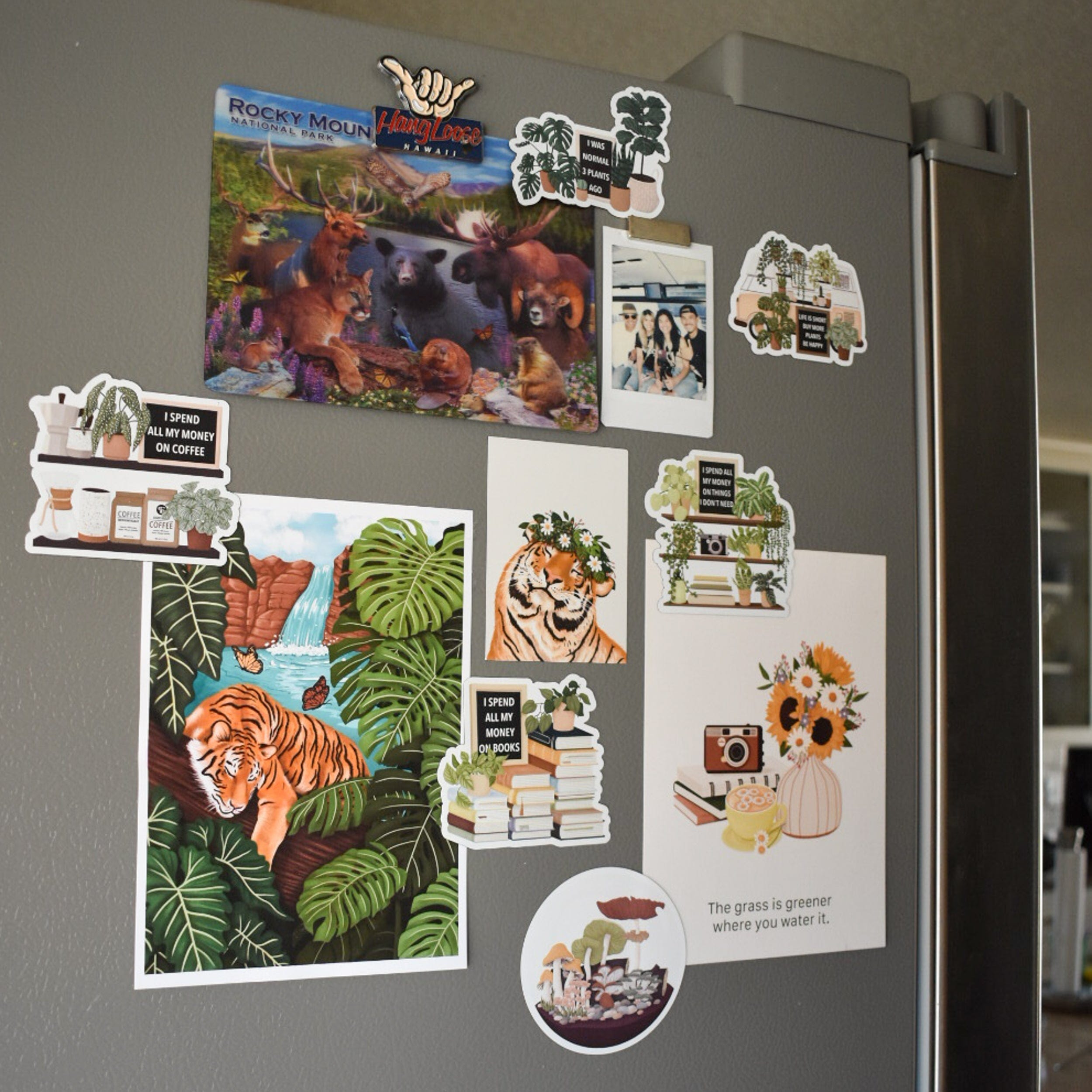 magnets on fridge