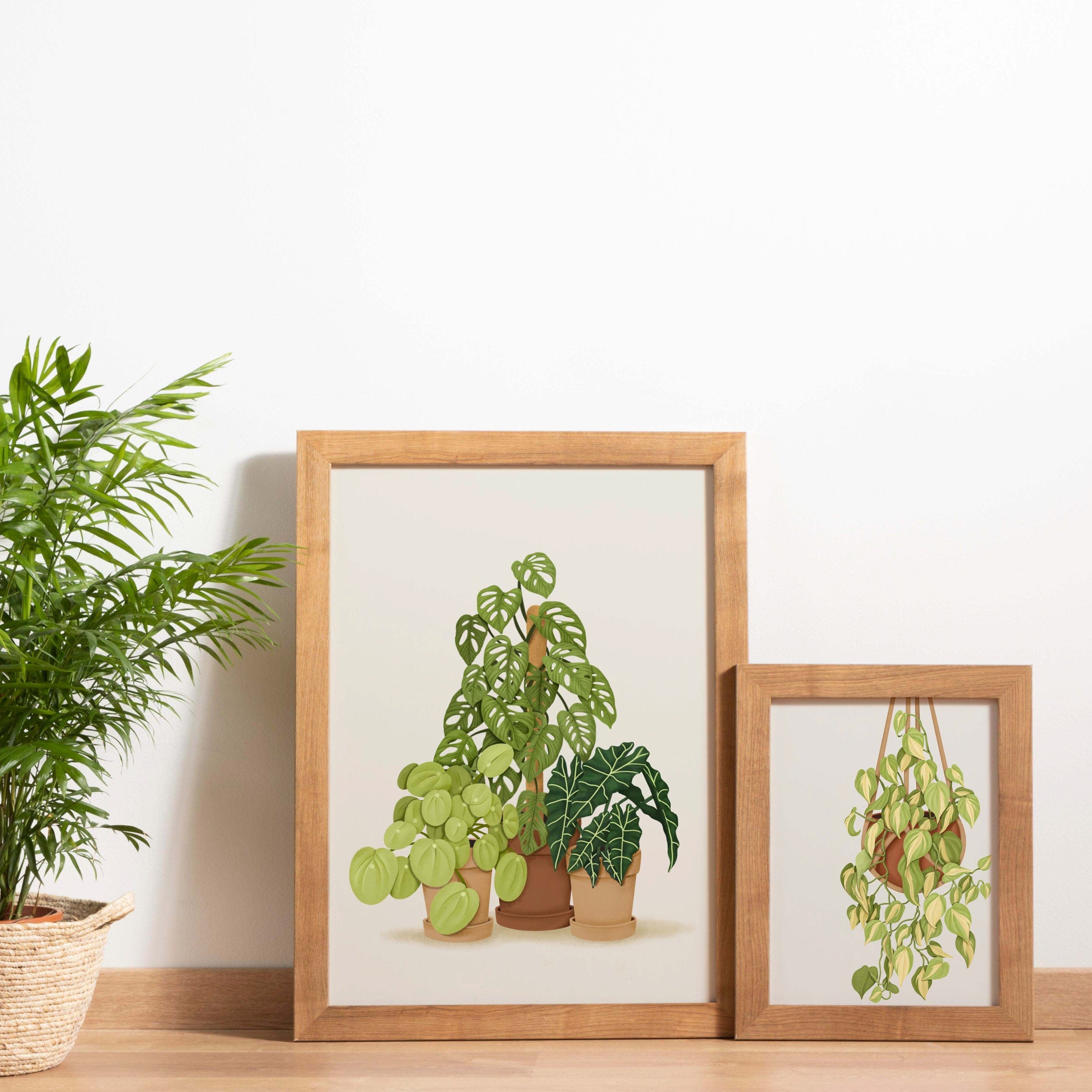 indoor plant art Hanging Plant Art Print – LINH T VO