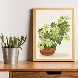 Schefflera Plant Art Print