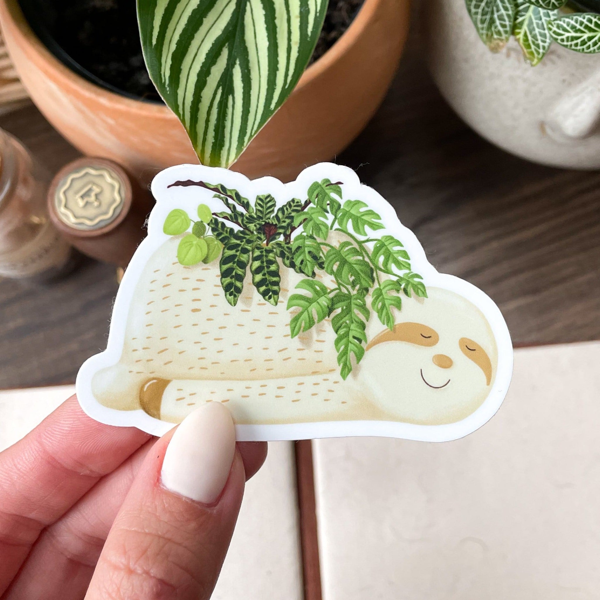 sloth planter stickers fittonia co